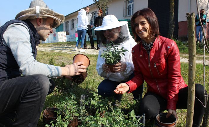 DAGEM’de Adaçayı Dikimi Yapıldı