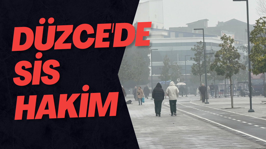 Düzce'de Sis Hakim