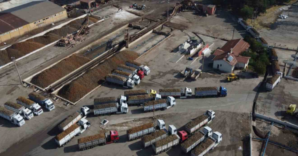 Malatya Şeker Fabrikası’nda 470 bin ton pancar işlendi