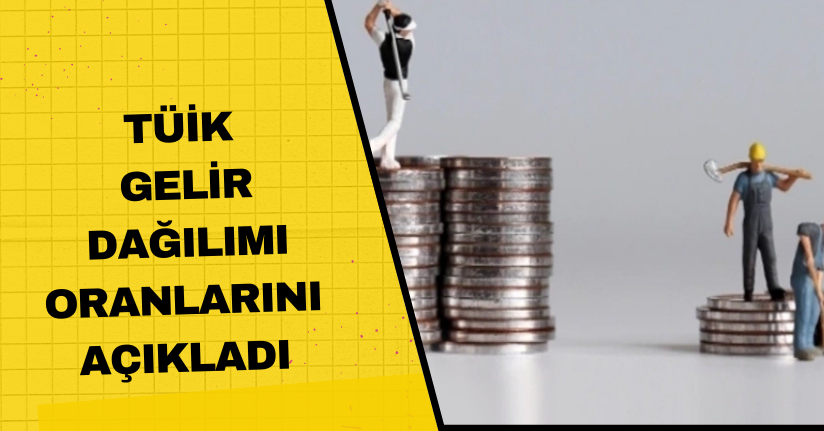 TÜİK, gelir dağılımı oranlarını açıkladı