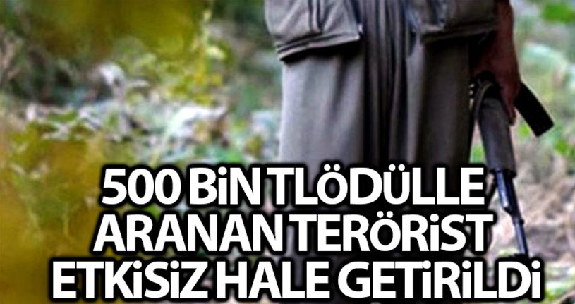 İçişleri Bakanlığı: 'Bitlis'te etkisiz hale getirilen 3 teröristten birinin gri listede yer aldığı belirlendi'