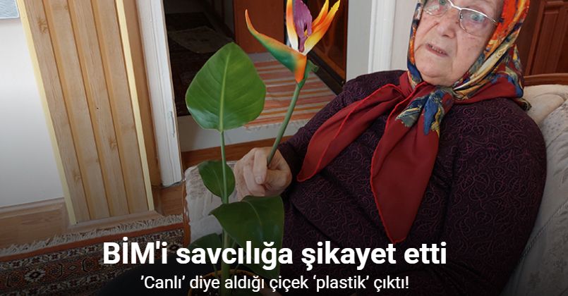 ’Canlı’ diye aldığı çiçek ‘plastik’ çıkınca BİM’i savcılığa şikayet etti