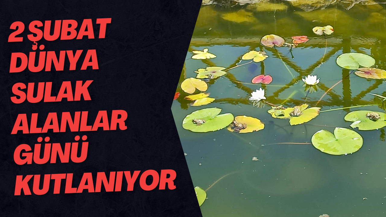 2 Şubat Dünya Sulak Alanlar Günü Kutlanıyor