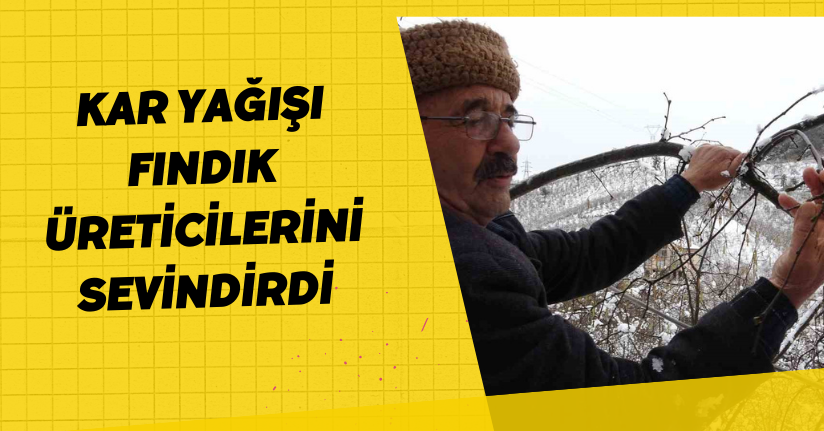 Kar yağışı fındık üreticilerini sevindirdi