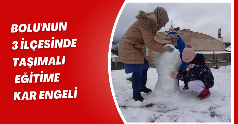 Bolu'nun 3 ilçesinde taşımalı eğitime kar engeli