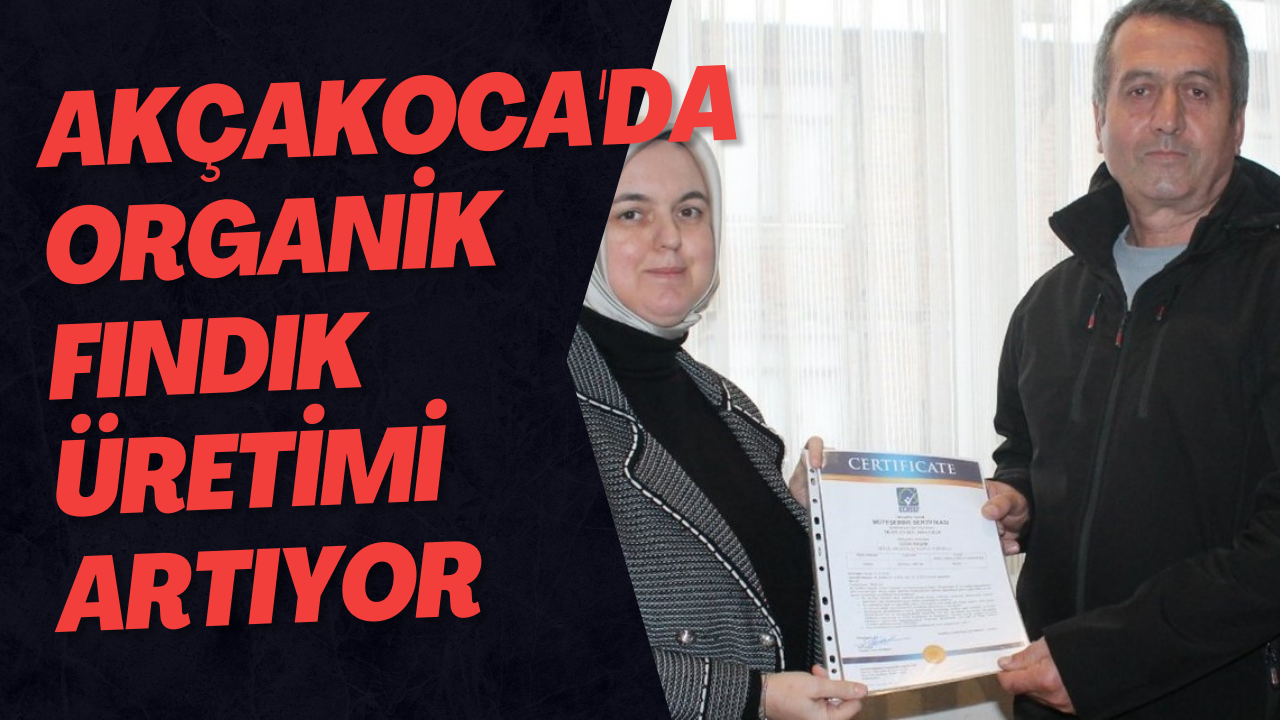 Akçakoca'da Organik Fındık Üretimi Artıyor