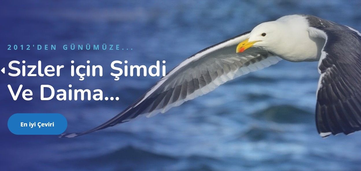 Boşnakça Türkçe Çeviri ve Türkçe Sırpça Çeviri