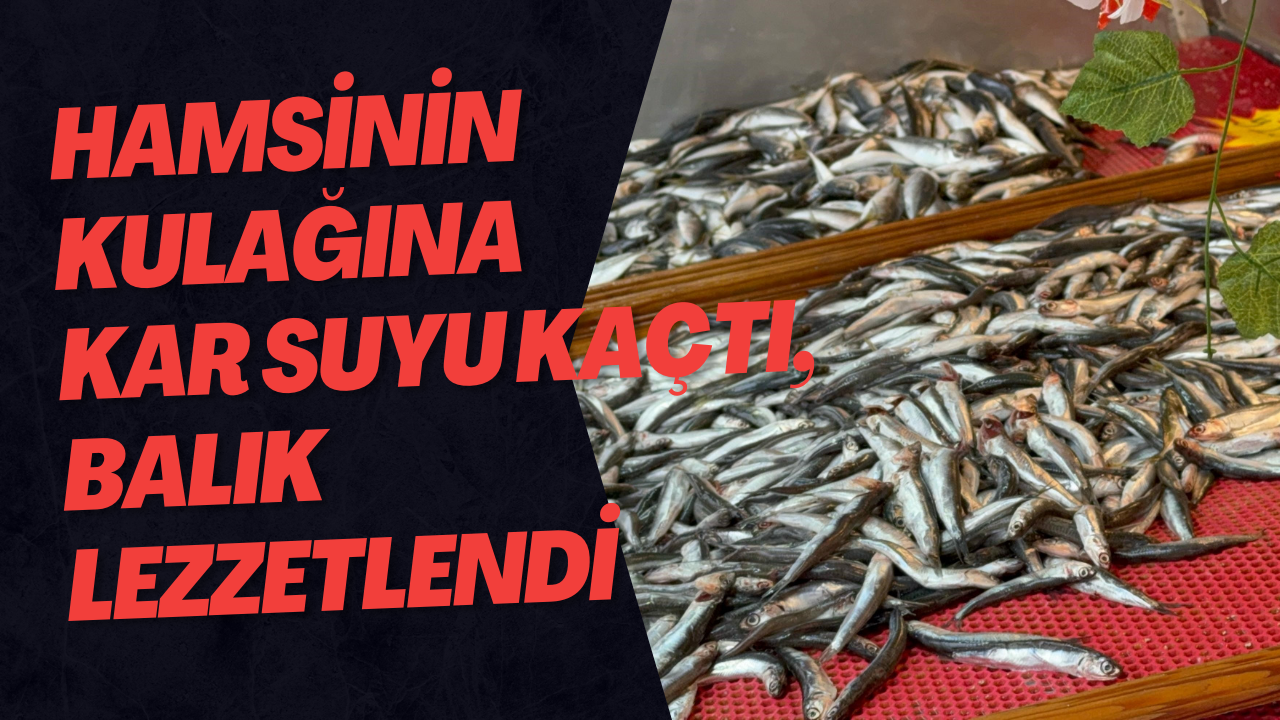 Hamsinin Kulağına Kar Suyu Kaçtı, Balık Lezzetlendi