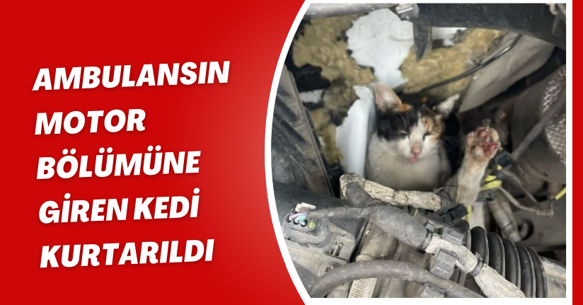Ambulansın motor bölümüne giren kedi kurtarıldı