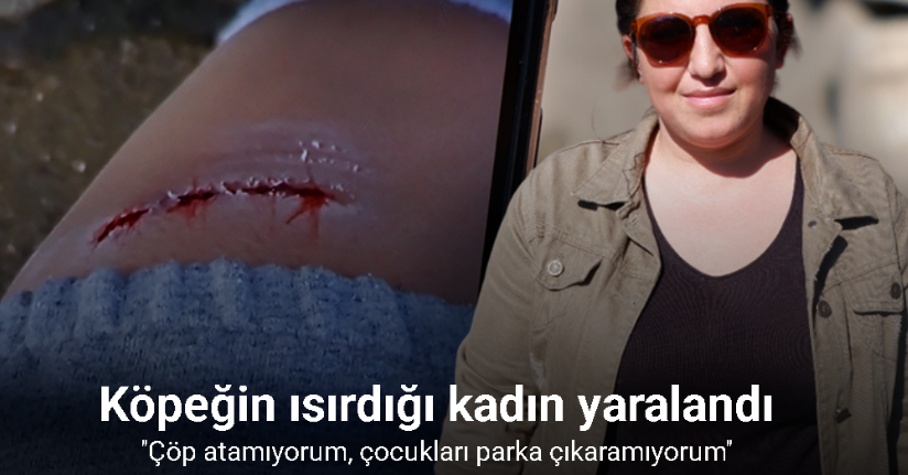 Edirne’de köpeğin ısırdığı kadın yaralandı