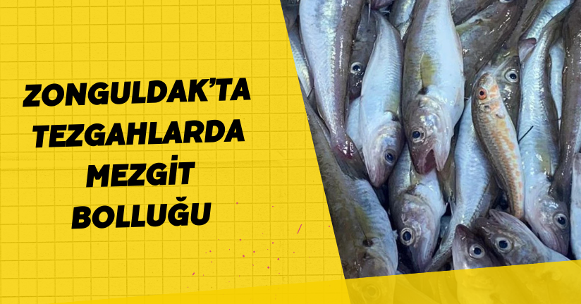 Zonguldak’ta tezgahlarda mezgit bolluğu