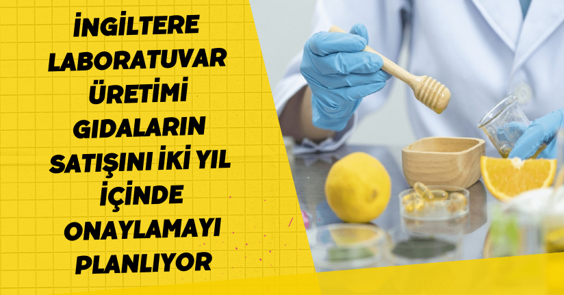 İngiltere, laboratuvar üretimi gıdaların satışını iki yıl içinde onaylamayı planlıyor