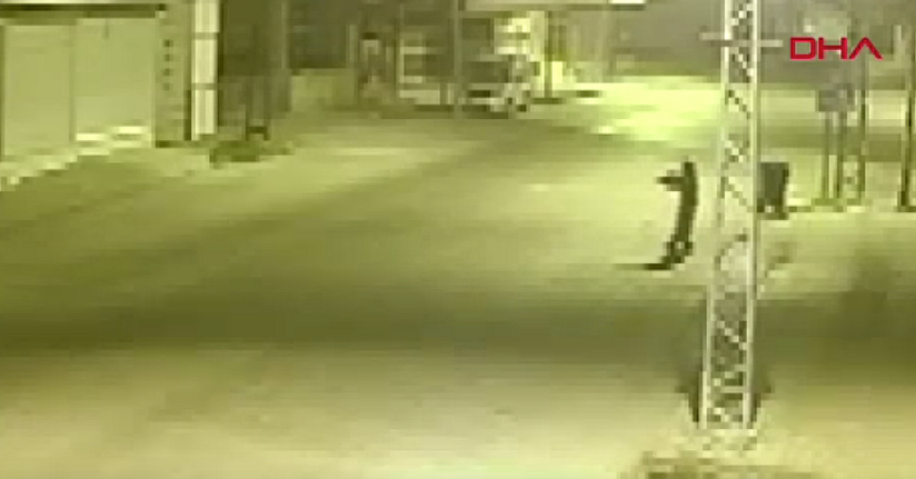 15 milyon TL haraç istediler, 13 defa iş yerini kurşunladılar