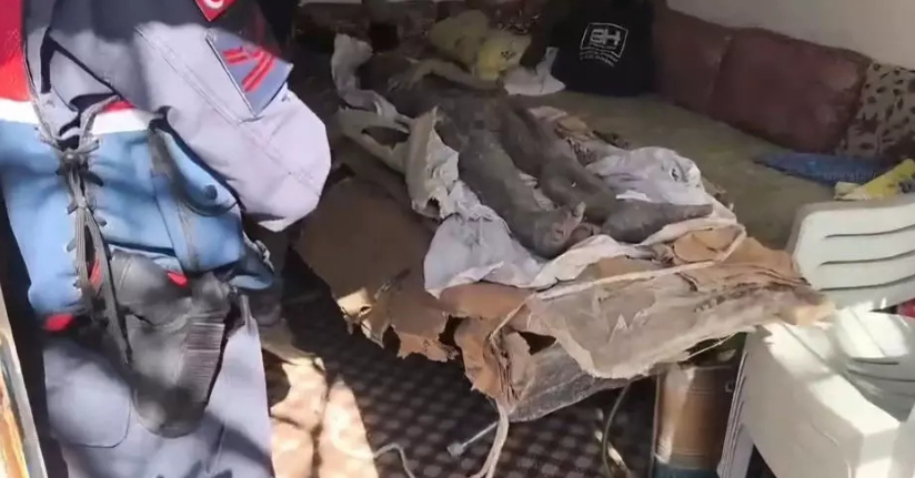 Niğde’de mumya operasyonu: 6 gözaltı