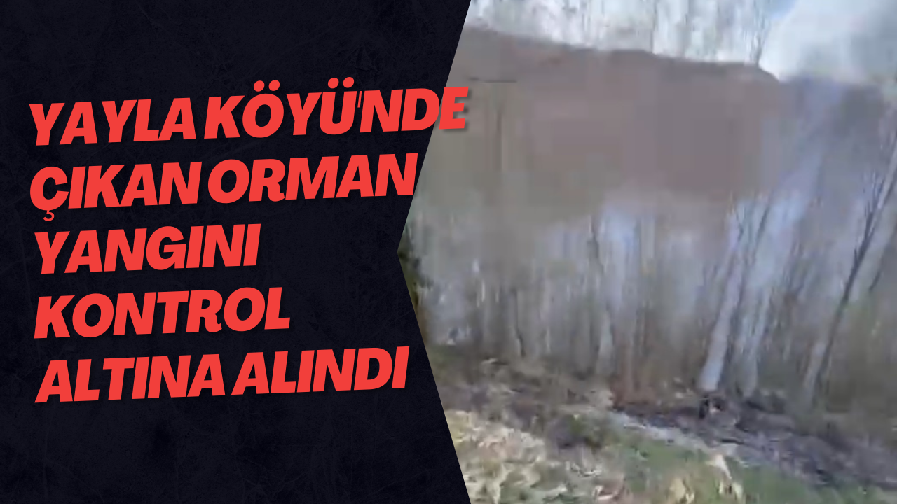 Yayla Köyü'nde Çıkan Orman Yangını Kontrol Altına Alındı