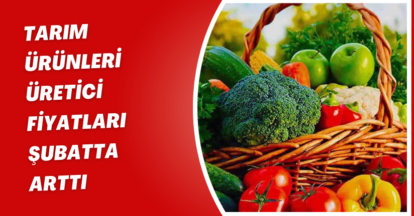Tarım ürünleri üretici fiyatları şubatta arttı