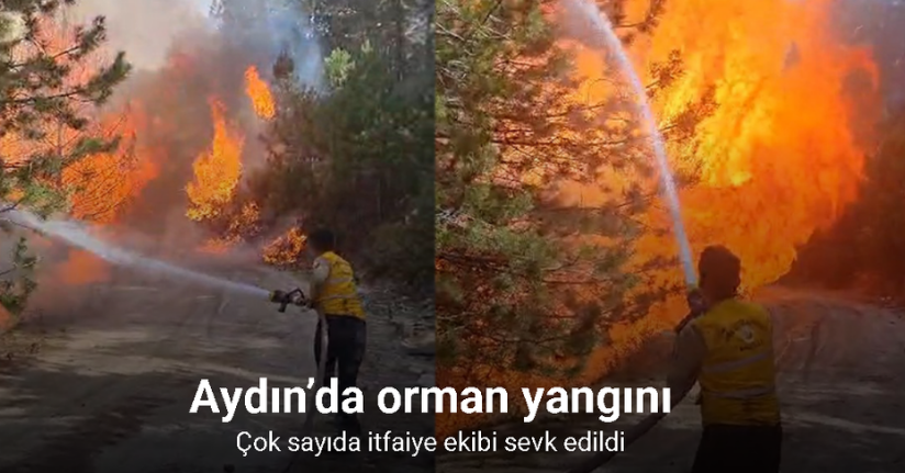 Aydın’da orman yangını