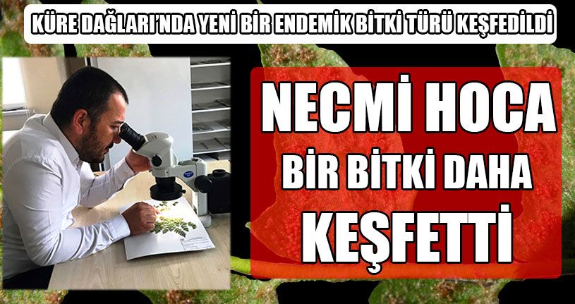 Necmi Hoca Bir Bitki Daha Keşfetti
