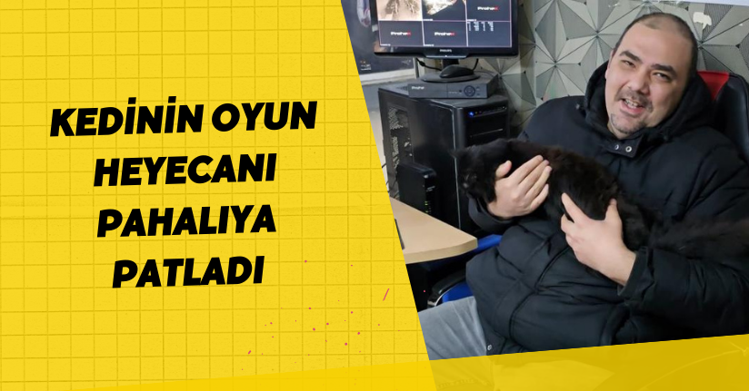 Kedinin oyun heyecanı pahalıya patladı