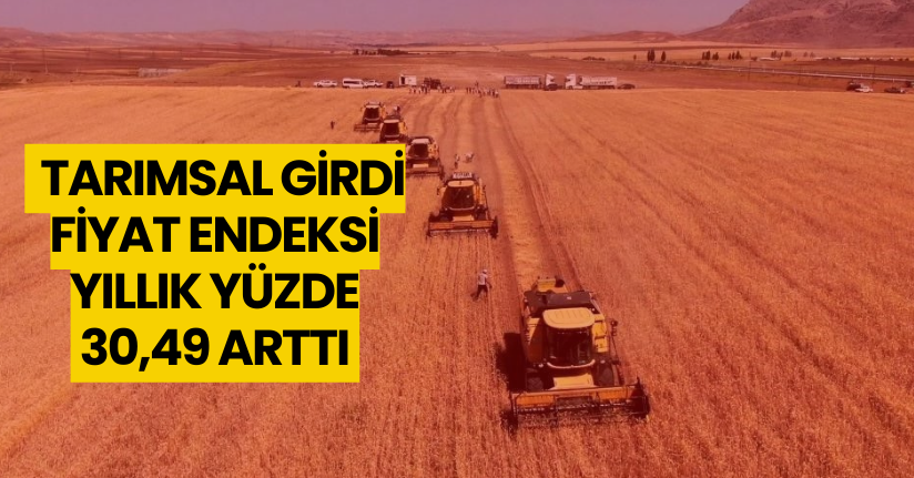 Tarımsal girdi fiyat endeksi yıllık yüzde 30,49 arttı