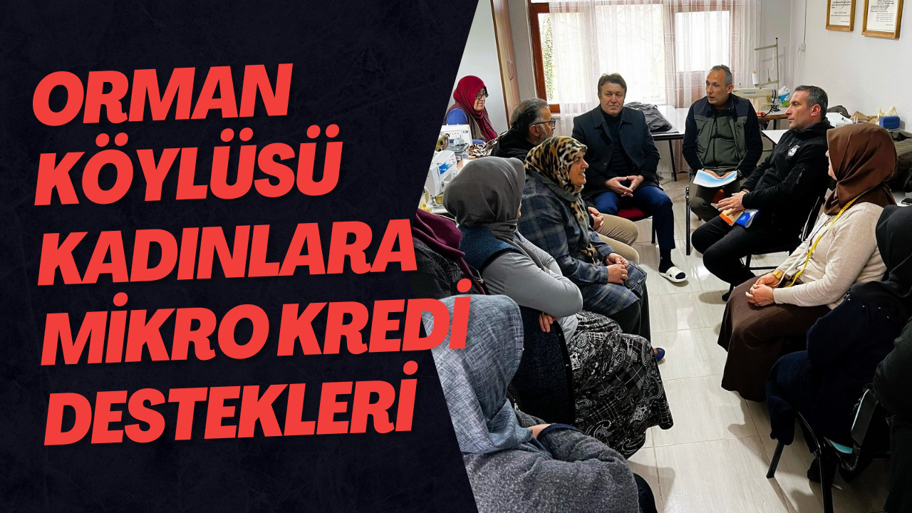 Orman Köylüsü Kadınlara Mikro Kredi Destekleri
