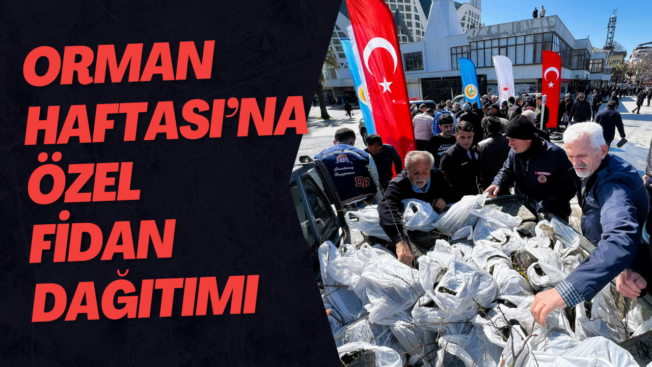 Orman Haftası’na Özel Fidan Dağıtımı