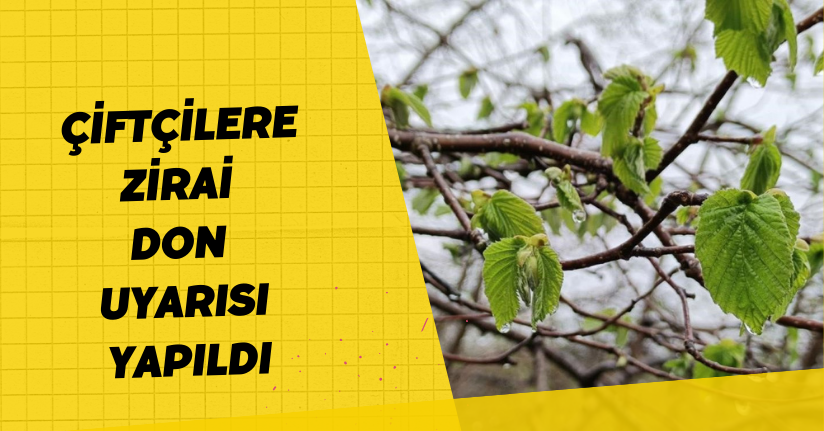 Çiftçilere zirai don uyarısı yapıldı