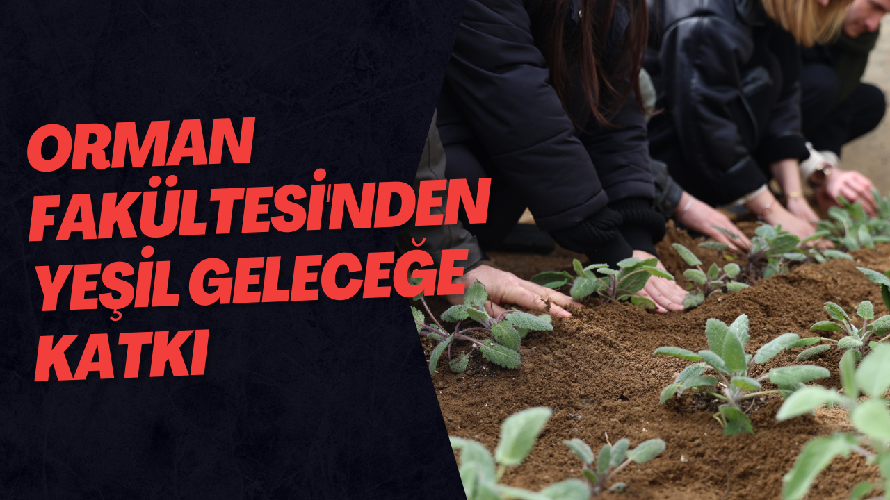 Orman Fakültesi'nden Yeşil Geleceğe Katkı