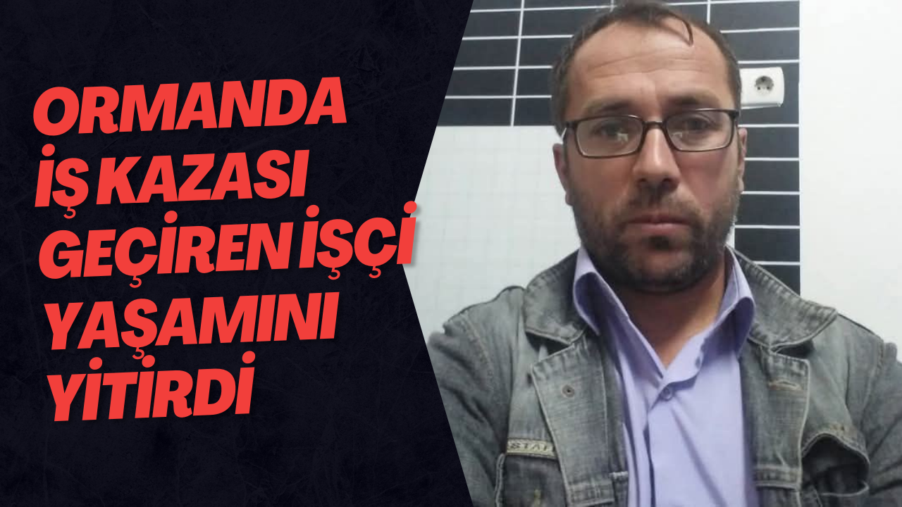 Ormanda İş Kazası Geçiren İşçi Yaşamını Yitirdi