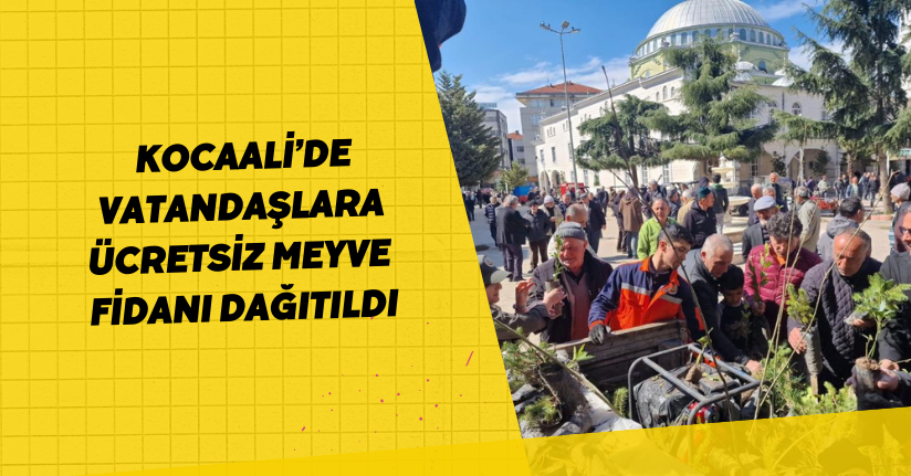 Kocaali’de vatandaşlara ücretsiz meyve fidanı dağıtıldı