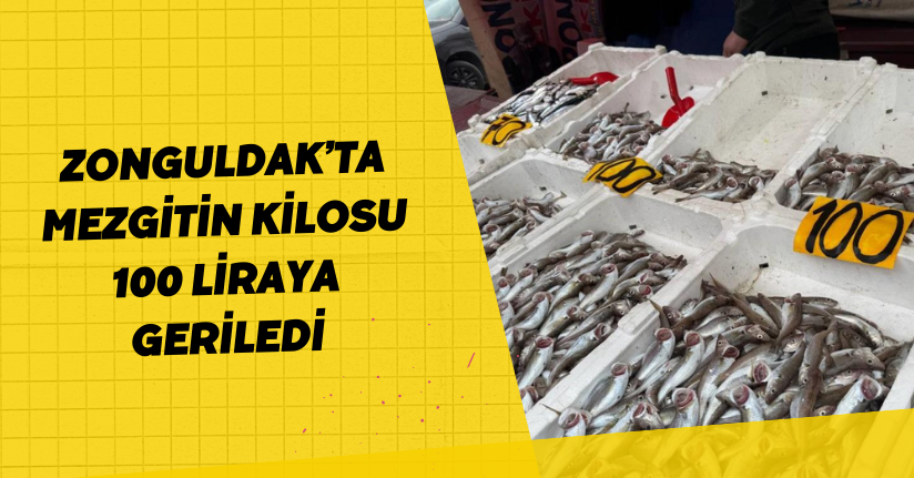 Zonguldak’ta mezgitin kilosu 100 liraya geriledi