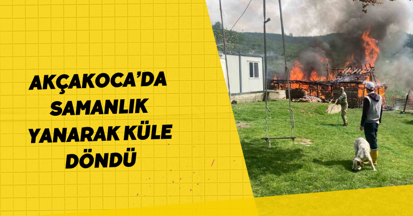 Akçakoca’da samanlık yanarak küle döndü