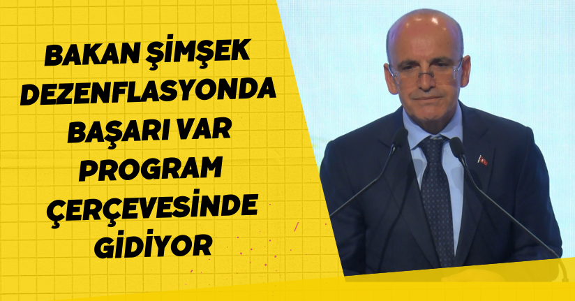 Bakan Şimşek: Dezenflasyonda başarı var, program çerçevesinde gidiyor