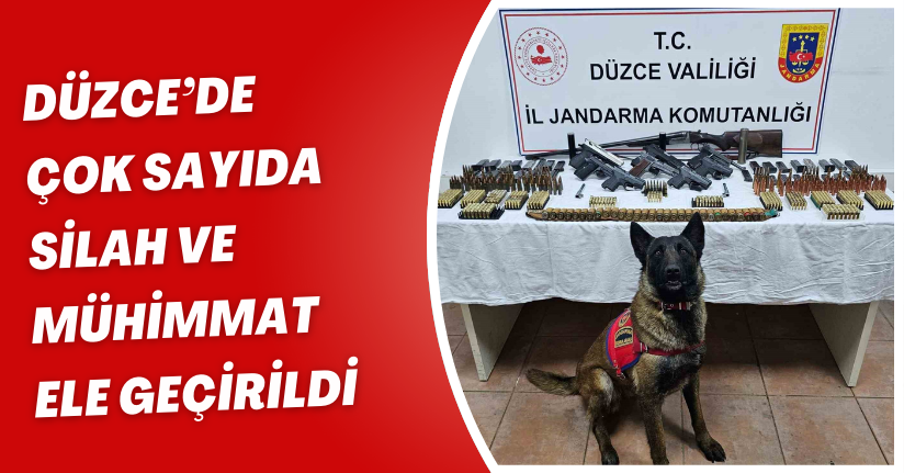 Düzce’de çok sayıda silah ve mühimmat ele geçirildi