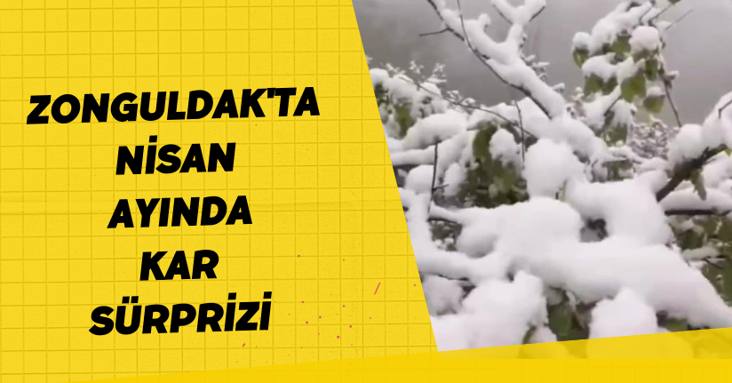 Zonguldak'ta Nisan ayında kar sürprizi