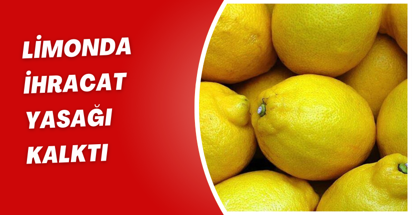  Limonda ihracat yasağı kalktı