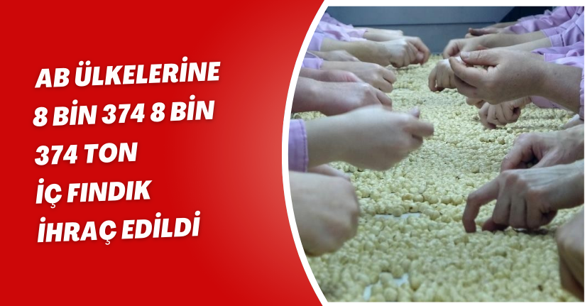 AB ülkelerine 8 bin 374 8 bin 374 ton iç fındık ihraç edildi