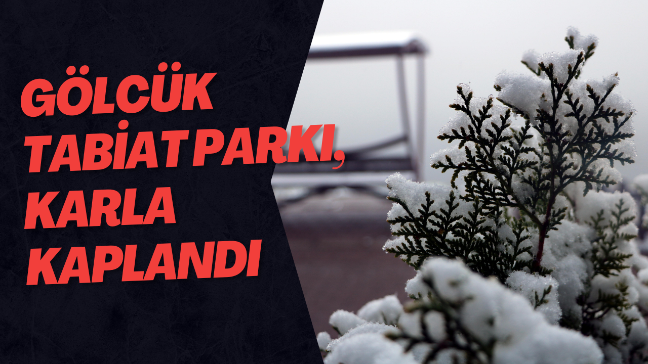 Gölcük Tabiat Parkı, Karla Kaplandı