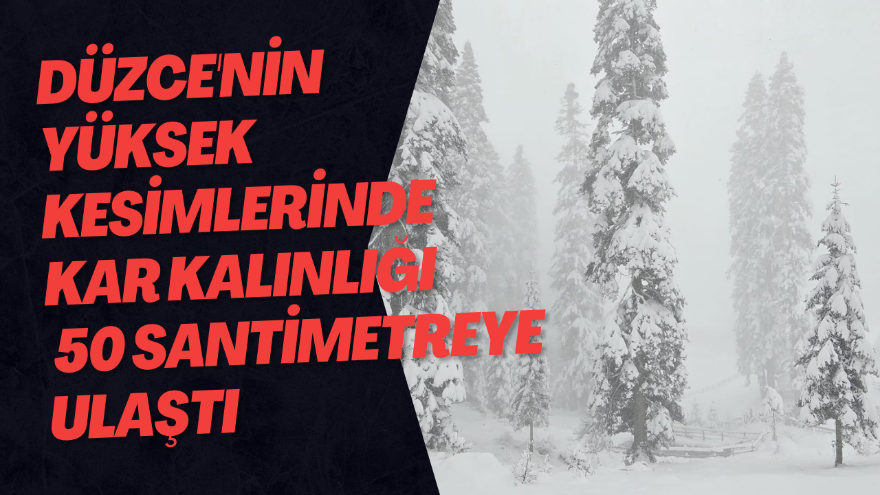 Düzce'nin Yüksek Kesimlerinde Kar Kalınlığı 50 Santimetreye Ulaştı