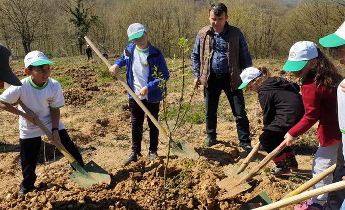 600 kestane fidanı toprakla buluştu