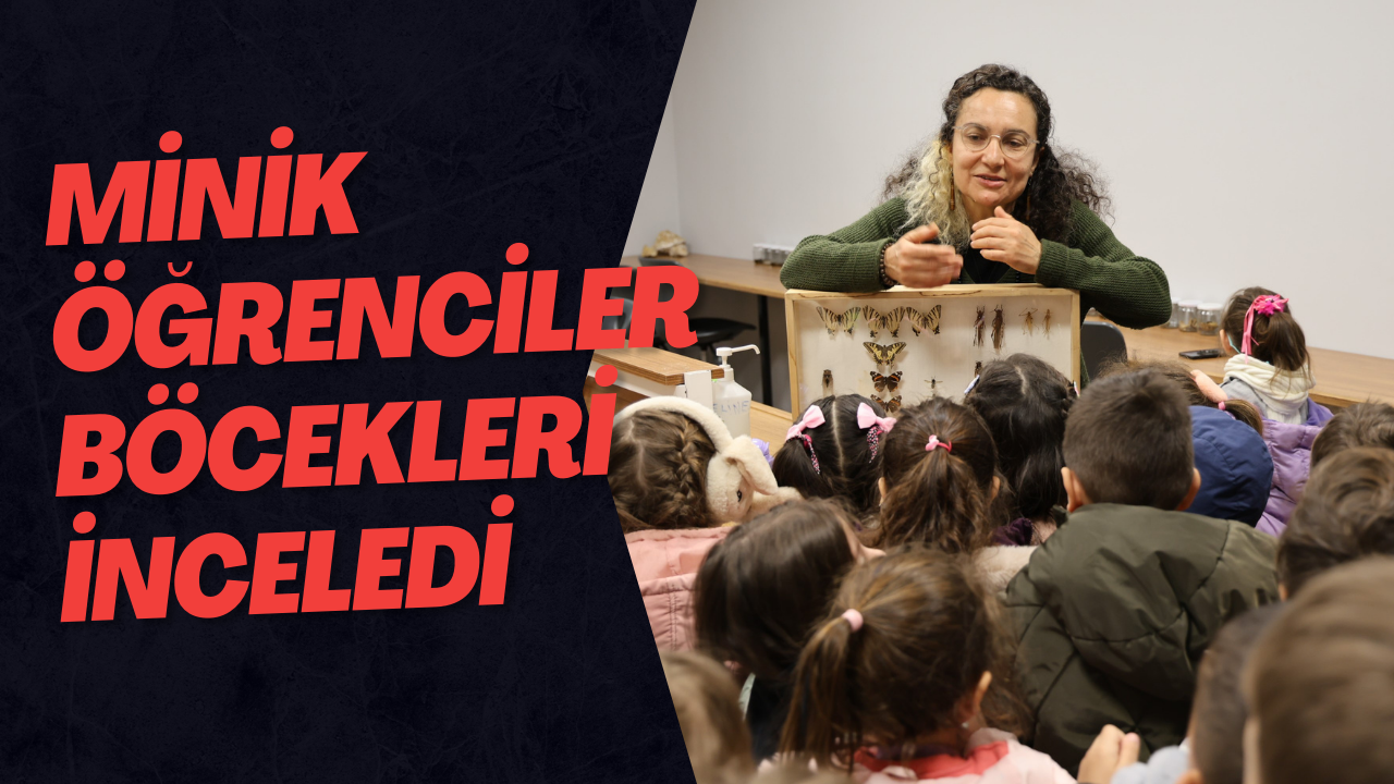 Minik Öğrenciler Böcekleri İnceledi
