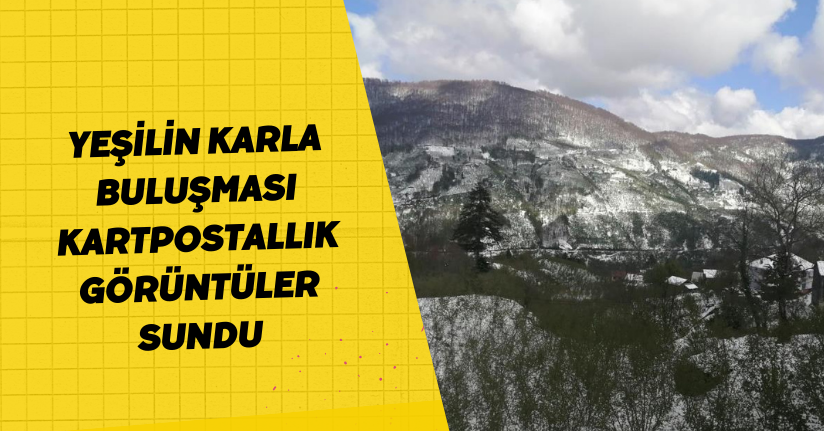 Yeşilin karla buluşması kartpostallık görüntüler sundu