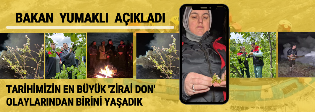 Bakan Yumaklı: Tarihimizin en büyük 'zirai don' olaylarından birini yaşadık