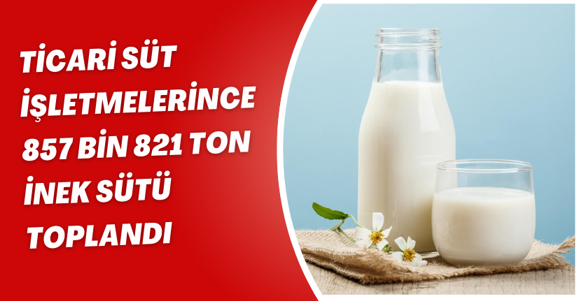 Ticari süt işletmelerince 857 bin 821 ton inek sütü toplandı