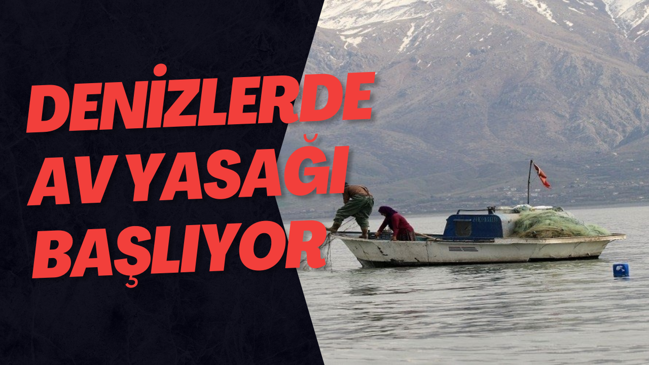 Denizlerde Av Yasağı Başlıyor