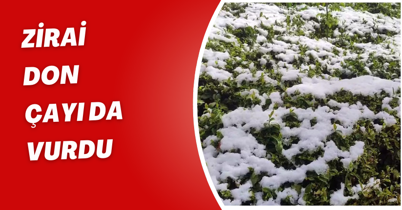 Zirai don çayı da vurdu
