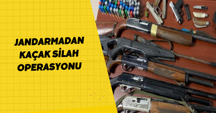 Jandarmadan kaçak silah operasyonu
