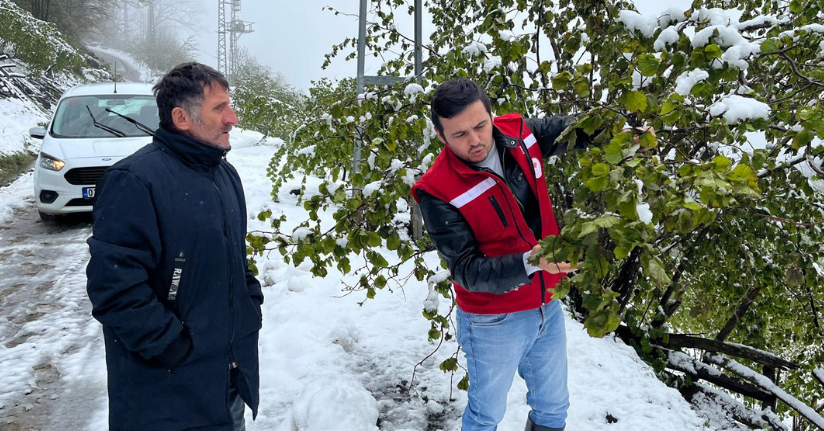 Samsun'da 'zirai don' etkisi; fındıkta zarar, 3 ürün de tehlikede