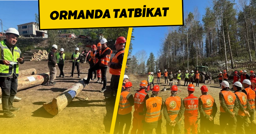 Ormanda tatbikat