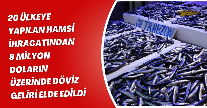 20 ülkeye yapılan hamsi ihracatından 9 milyon doların üzerinde döviz geliri elde edildi